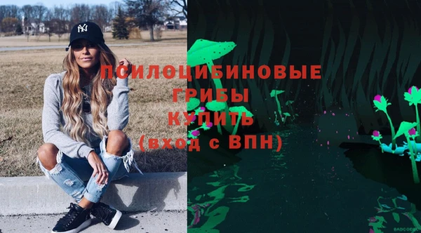 ПСИЛОЦИБИНОВЫЕ ГРИБЫ Няндома