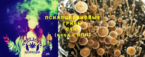 Альфа ПВП Нязепетровск