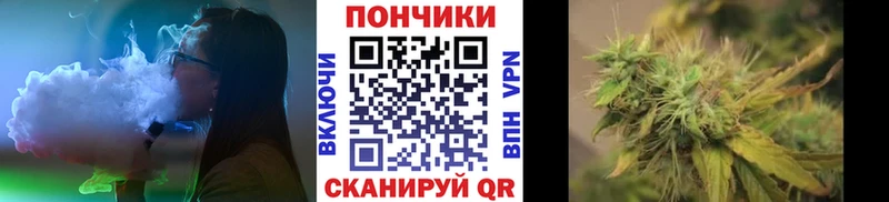 дарк нет состав  Старая Русса  Шишки марихуана VHQ  omg как зайти 